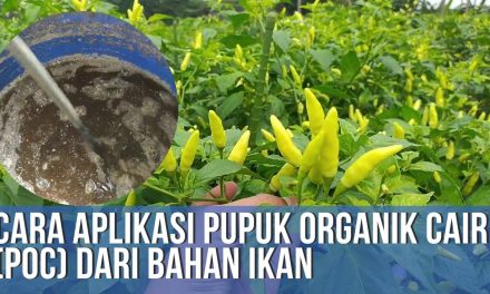 Pupuk Organik Dari Duri Ikan: Ini Cara Membuat Dan Manfaatnya