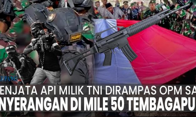 Kronologi Raibnya Dua Senjata Api Organik Menurut TNI