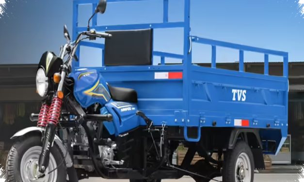 Armado 200 Resmi Meluncur, TVS Motor Bidik Pelaku UMKM