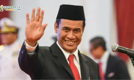 Pemerintah Akan Cabut Izin Pemasok Daging Yang Bermasalah