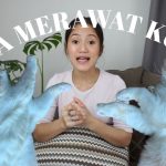 Trik Merawat Kucing Lokal Dengan Cara Sederhana