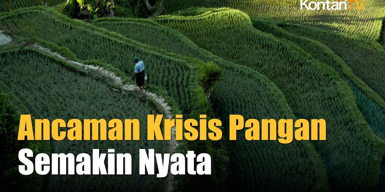 Ancaman Ketahanan Pangan Di Indonesia Kini Semakin Meluas