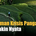 Ancaman Ketahanan Pangan Di Indonesia Kini Semakin Meluas