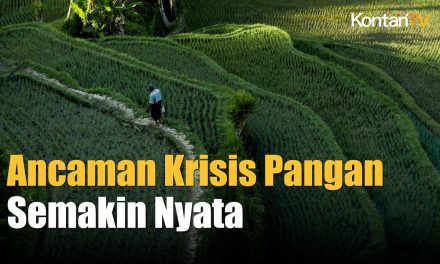 Ancaman Ketahanan Pangan Di Indonesia Kini Semakin Meluas