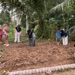 Pemanfaatan Lahan Kosong Atau Bercocok Tanam, Yuk Kita Bahas