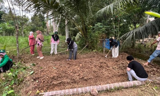 Pemanfaatan Lahan Kosong Atau Bercocok Tanam, Yuk Kita Bahas