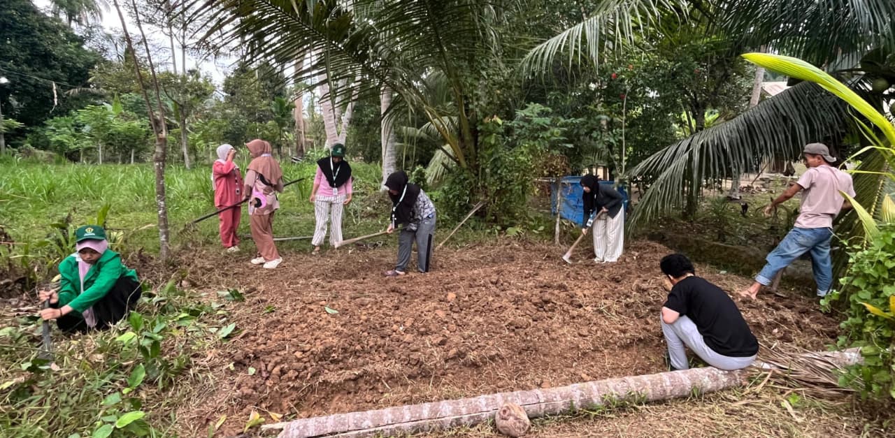 Pemanfaatan Lahan Kosong Atau Bercocok Tanam, Yuk Kita Bahas