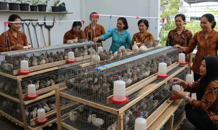 Ternak Puyuh Untuk Pemula: Ide Usaha Bagi Ibu-Ibu Di Desa