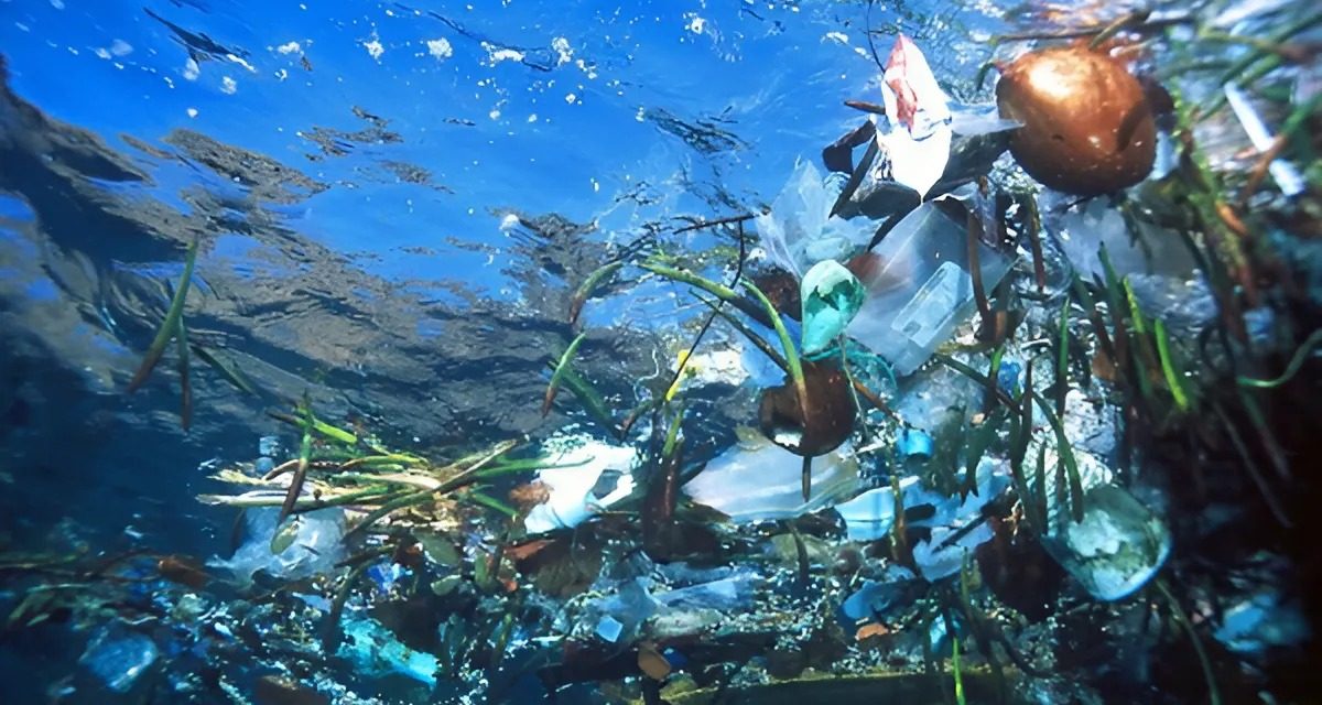 Limbah Plastik Merupakan Zat Yang Merusak Berbagai Ekosistem