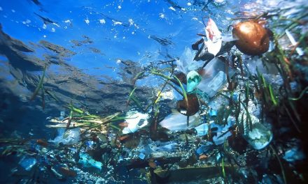 Limbah Plastik Merupakan Zat Yang Merusak Berbagai Ekosistem