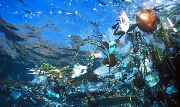 Limbah Plastik Merupakan Zat Yang Merusak Berbagai Ekosistem